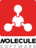 Molecule Software